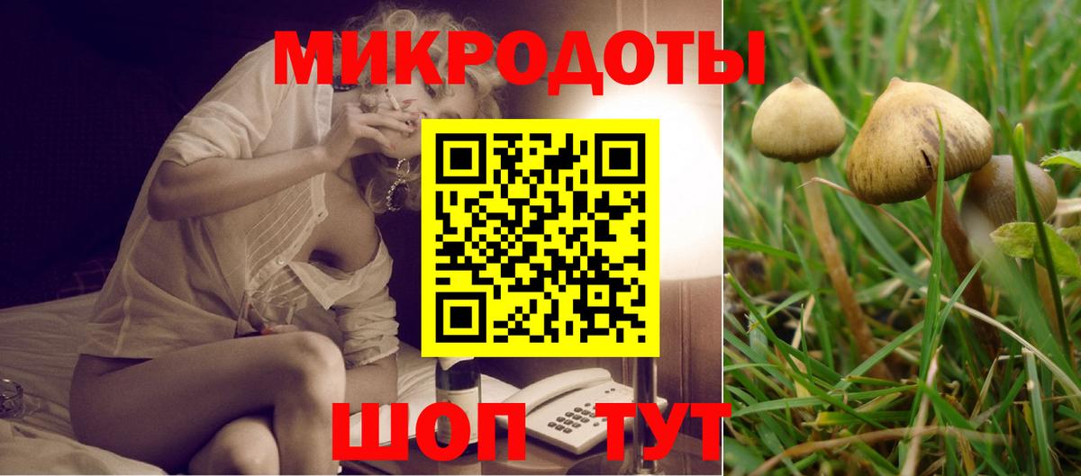 Димитровград  где купить   Вход с VPN  Псилоцибиновые грибы ЛСД 
