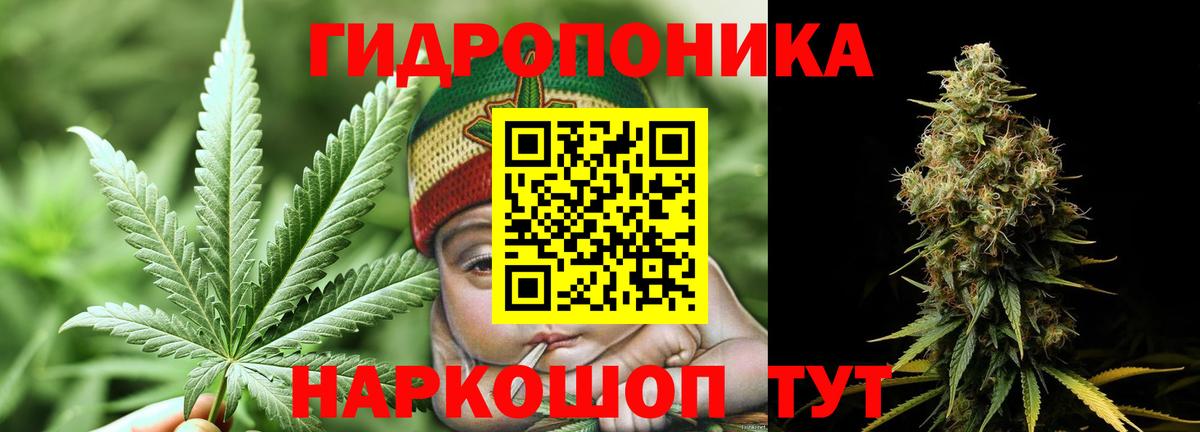 Бошки марихуана VHQ Димитровград